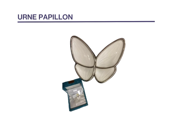 urne papillon